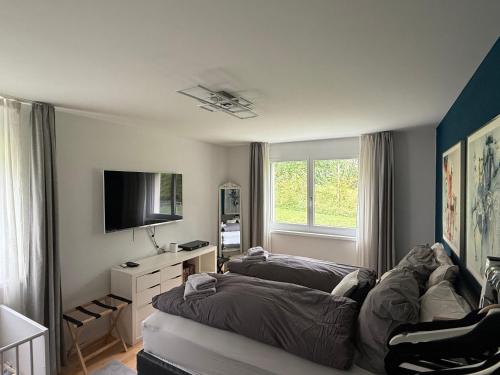 165 qm moderne 4 Zimmer Wohnung mit Bergsicht - Piz Alpina
