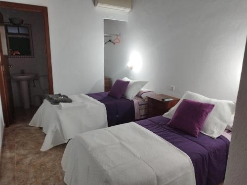 a hotel room with two beds and a sink at Alojamiento Acuario in Espiel