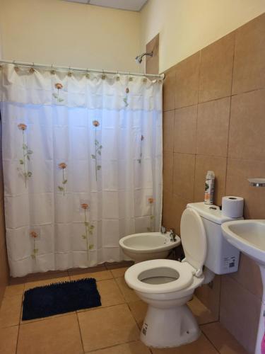 a bathroom with a toilet and a sink at Chacra MARIANA in Gualeguay