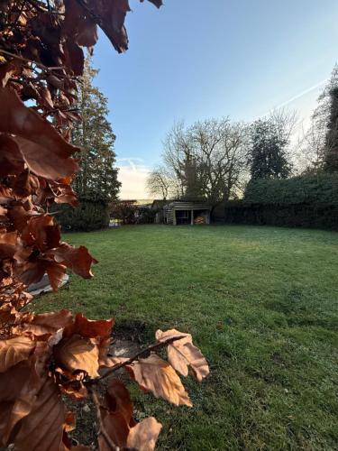 ein Laubhaufen auf dem Rasen in einem Garten in der Unterkunft Oneux - Durbuy in Oneux