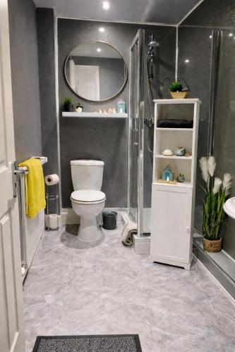 a bathroom with a toilet and a shower and a mirror at Beautiful Beach Front Cottage in Allonby