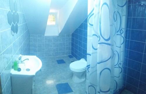 a blue tiled bathroom with a toilet and a sink at CASA Non Nobis Dambovicioara in Dîmbovicioara