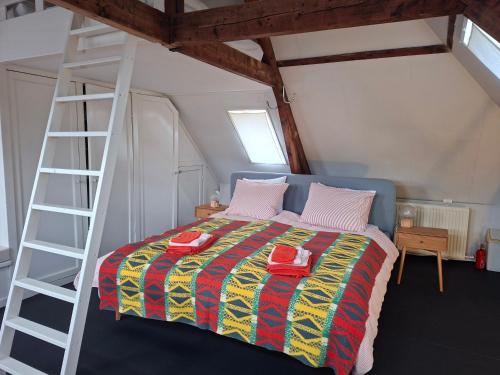 a bedroom with a bed with a ladder at Casa di Kola in Zutphen