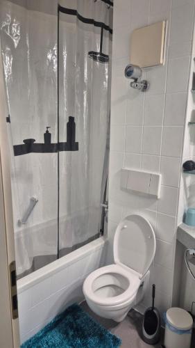 a bathroom with a toilet and a shower at Ferienwohnung Phin in Sankt Englmar, mit Pool, activCard und Smart TV in Sankt Englmar