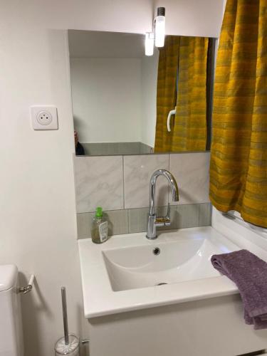 a bathroom with a sink and a mirror at Cosy New Studio 2 min RER B in Aulnay-sous-Bois