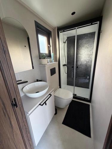 a bathroom with a toilet and a sink and a shower at La Tiny de la chicorée in Paulhan