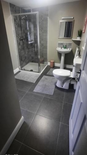 a bathroom with a shower and a toilet and a sink at Island View Lodge in Doolin