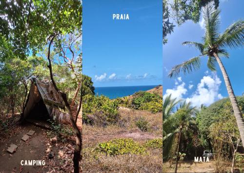 two pictures of a tent and a palm tree at EcoCamping da Wandinha in Cabo de Santo Agostinho