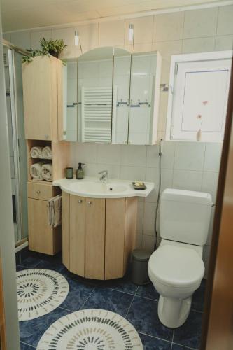 a bathroom with a toilet and a sink at Ferienhaus am Wildbachberg - Platz für die ganze Familie in Deutschlandsberg