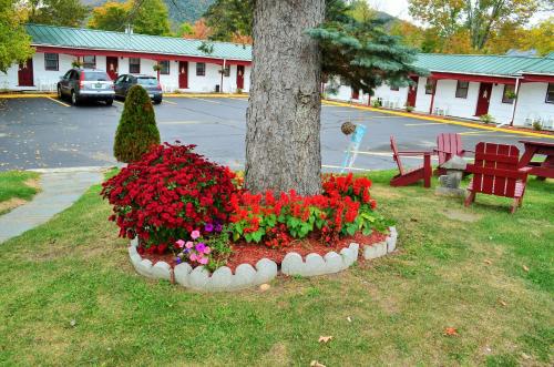 a flower bed around a tree in a park at Williamstown Motel in Williamstown
