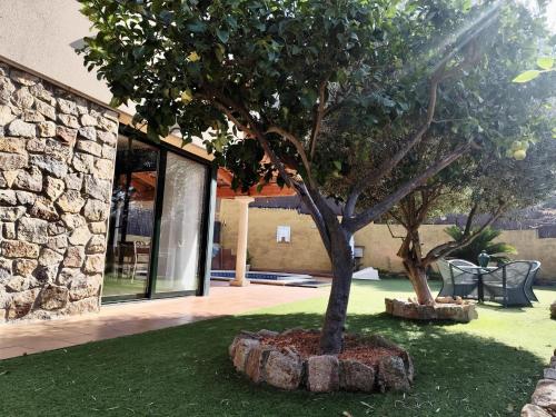 a tree in a yard next to a building at EVH105 - Casa con piscina privada in Tossa de Mar