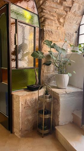 a potted plant sitting on a stone wall next to a window at לאה- וילה בוטנית LEAH- botanical villa in Safed