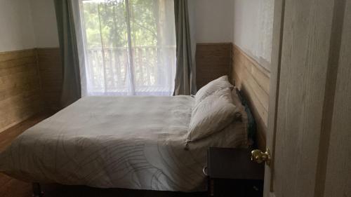 a small bed in a room with a window at Cabañas lugar de Refugio in Queilén