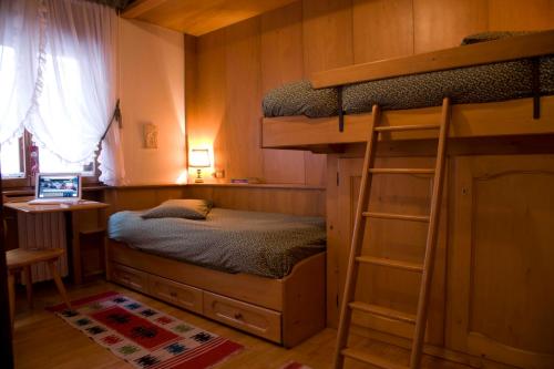 a bedroom with a bunk bed and a ladder at I cuori in Cortina dʼAmpezzo