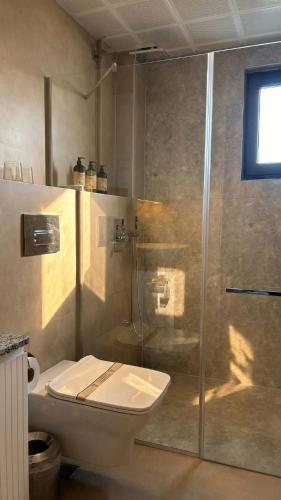 a bathroom with a toilet and a glass shower at TopTepeHome in Tire