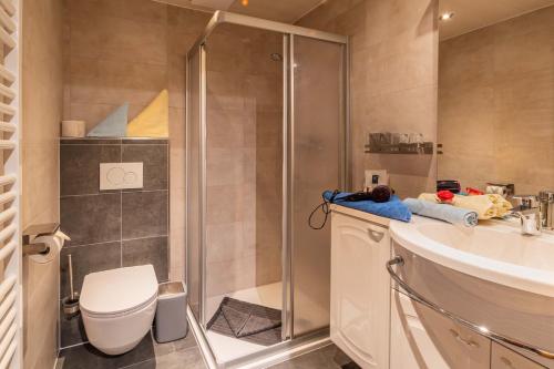 a bathroom with a shower and a toilet and a sink at Haus Ladner in See