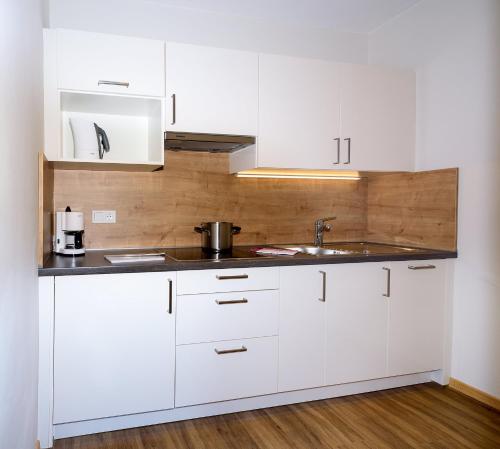 A kitchen or kitchenette at Panorama Residence Öhlerhof