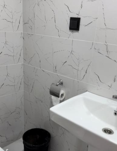 a white bathroom with a sink and a toilet at EleGaya Guest house in Ijevan