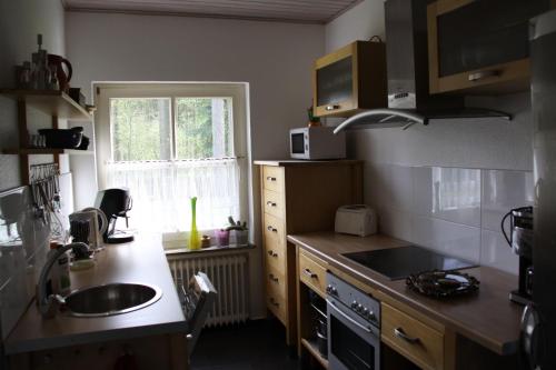 a small kitchen with a sink and a stove at Ferien im Bomlitztal in Bomlitz