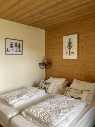 Bel espace proche des pistes