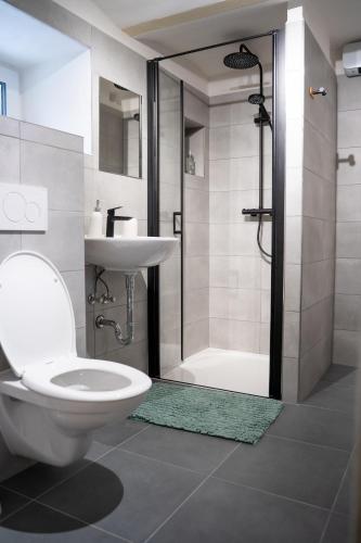 a bathroom with a toilet and a sink and a shower at Ubytování U Mecha in Bečice