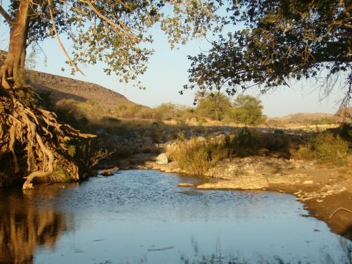 a river with a tree in the foreground at Tsauchab River Camp in Sesriem