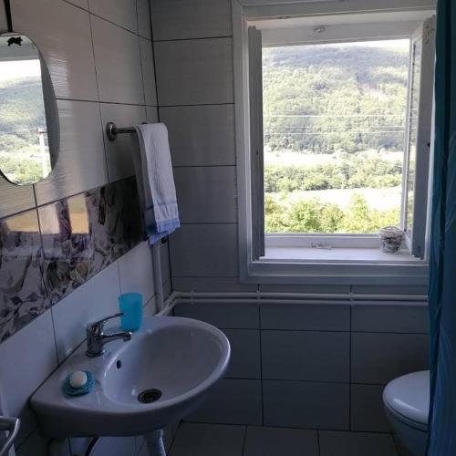 a bathroom with a sink and a window at Simina kuća in Bajina Bašta