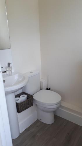 a white bathroom with a toilet and a sink at Spacious family cottage with private garden and forest walks in Burley