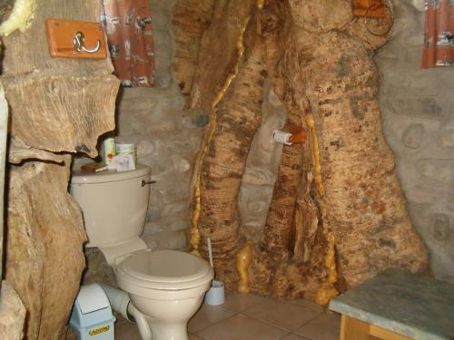 een badkamer met een toilet en een boomwand bij Tsauchab River Camp in Sesriem