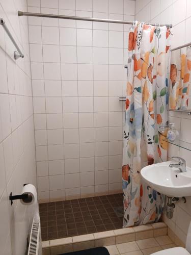 a bathroom with a shower curtain and a sink at Aiakeskuse hostel in Rakvere