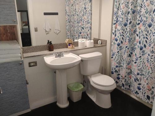 a bathroom with a toilet and a sink at The Downtown Grizz Loft in Memphis