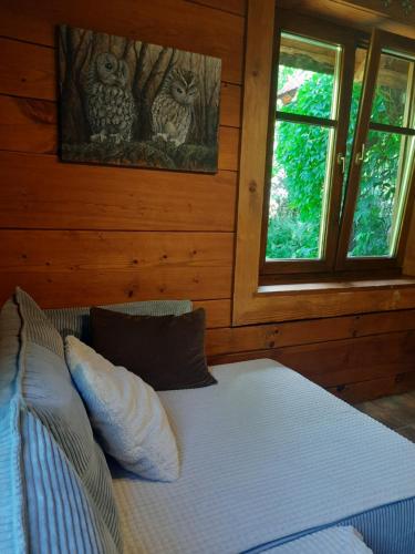 a bed in a room with two owls on the wall at Chata Balówka in Cisna