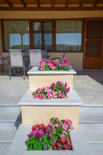 two concrete planters with flowers on a patio at Naxos Cottage in Káto Sangríon