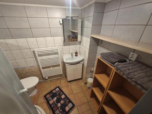 a small bathroom with a toilet and a sink at Apartmán U Vaňků in Jáchymov