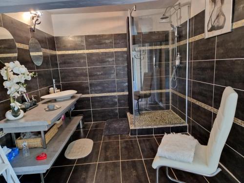 a bathroom with a shower and a sink at CHARM & FOLIe in Praslin