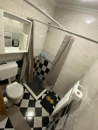 Un pequeño baño con inodoro y ducha. en The View Apartment, en Visoko