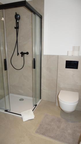 a bathroom with a shower and a toilet at Chalet Sofia in Bettmeralp