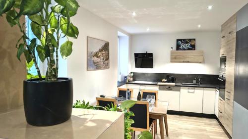 Dapur atau dapur kecil di Le Green