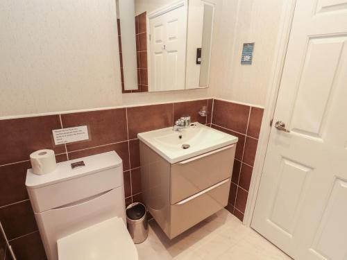 a bathroom with a toilet and a sink and a mirror at Beech Hill Lodge Beech Hill 9 at Fallbarrow Park in Windermere