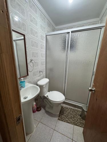 a bathroom with a shower and a toilet and a sink at Cabañas Ruta Volcán Pucon in Pucón