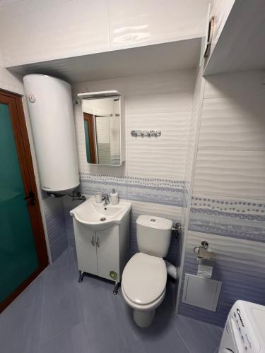 a small bathroom with a toilet and a sink at Апартамент Аксел in Panagyurishte