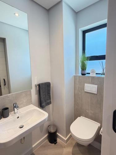a bathroom with a sink and a toilet and a mirror at Platform 123 - 2 On Tabak with onsite Parking in Paarl