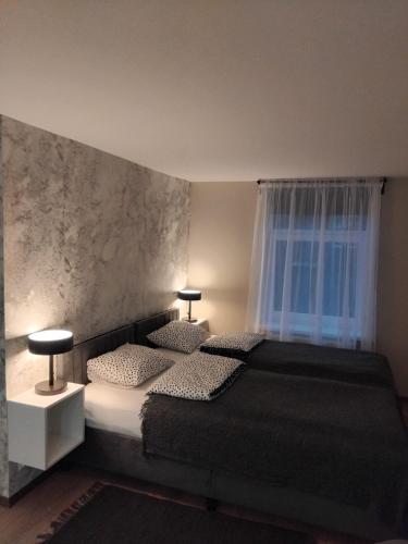 a bedroom with two beds and a window at Viesu māja Stadula in Skrunda