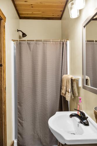 a bathroom with a shower curtain and a sink at Tellico River Retreat in Tellico Plains