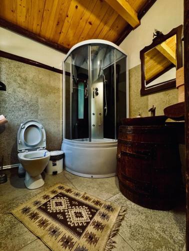 a bathroom with a tub and a toilet and a sink at Cabana MARISA in Dărmăneşti