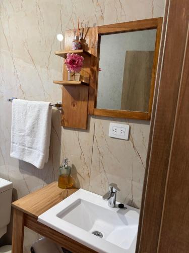 a bathroom with a sink and a mirror at Betsaida2 in Lago Meliquina