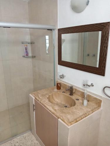 a bathroom with a sink and a mirror and a shower at Mi Casa Elena in Morelia