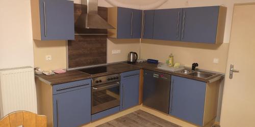a small kitchen with blue cabinets and a sink at Vermietung Gisl in Wiesent