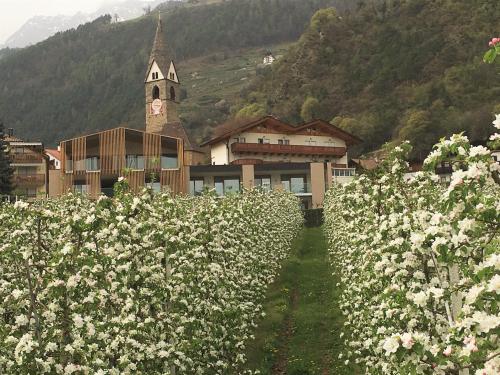 a field of flowers in front of a building with a clock tower at Panorama Residence Öhlerhof in Lagundo