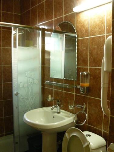 a bathroom with a sink and a toilet and a mirror at Cabana Delfinul - Cazanele Dunarii in (( Plavişeviţa ))